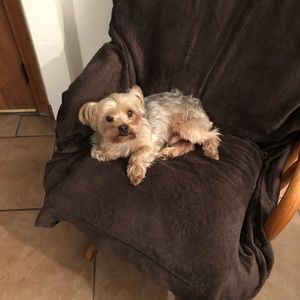 Meet your Posher, Haydee